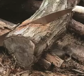 41997 KAKURI Temagari Saw Tree Limb Razor Wooden #3 41997 KAKURI Temagari Saw Tree Limb Razor Wooden #3
