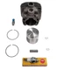 Fits Stihl TS410 & TS420 Nikasil Cylinder/Piston Kit 50mm 4238-020-1202 Fits Stihl TS410 & TS420 Nikasil Cylinder/Piston Kit 50mm 4238-020-1202